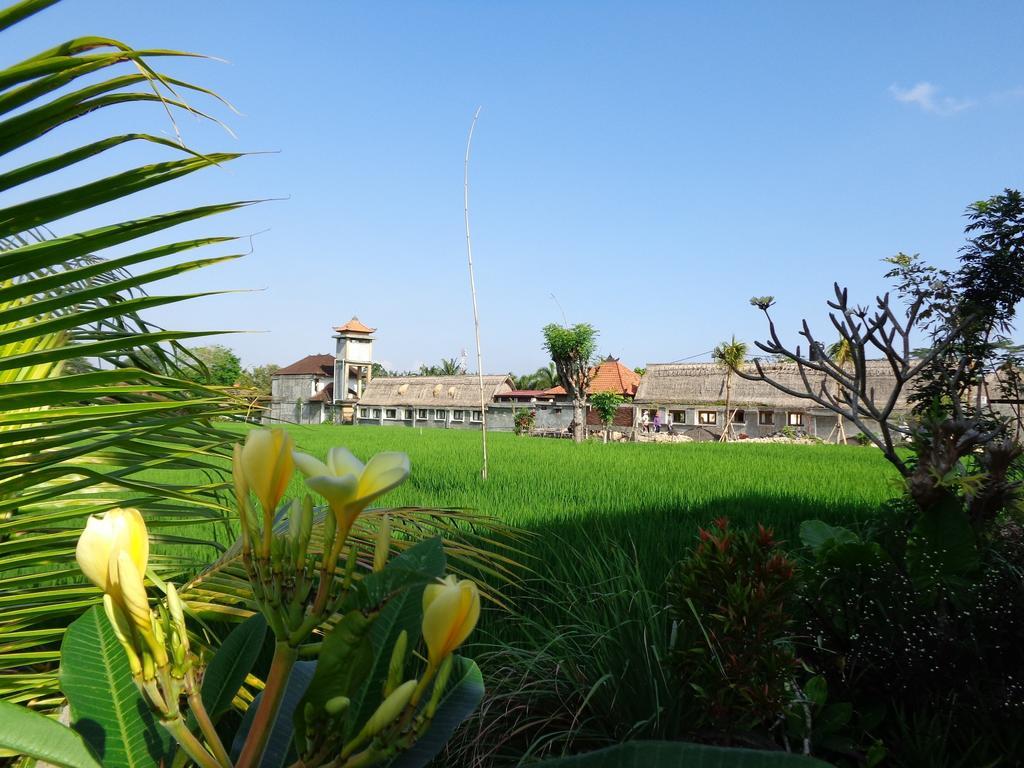 Bening Bungalow 乌布 外观 照片
