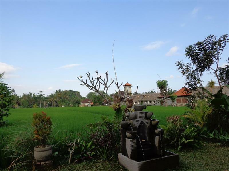 Bening Bungalow 乌布 外观 照片