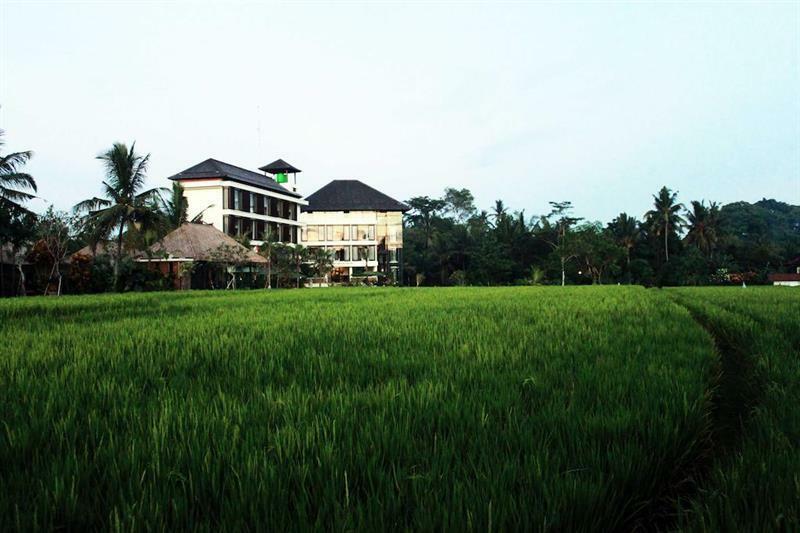 Bening Bungalow 乌布 外观 照片
